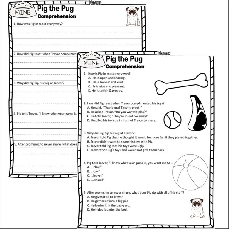 Pig The Pug Book Companion Reading Comprehension Worksheets