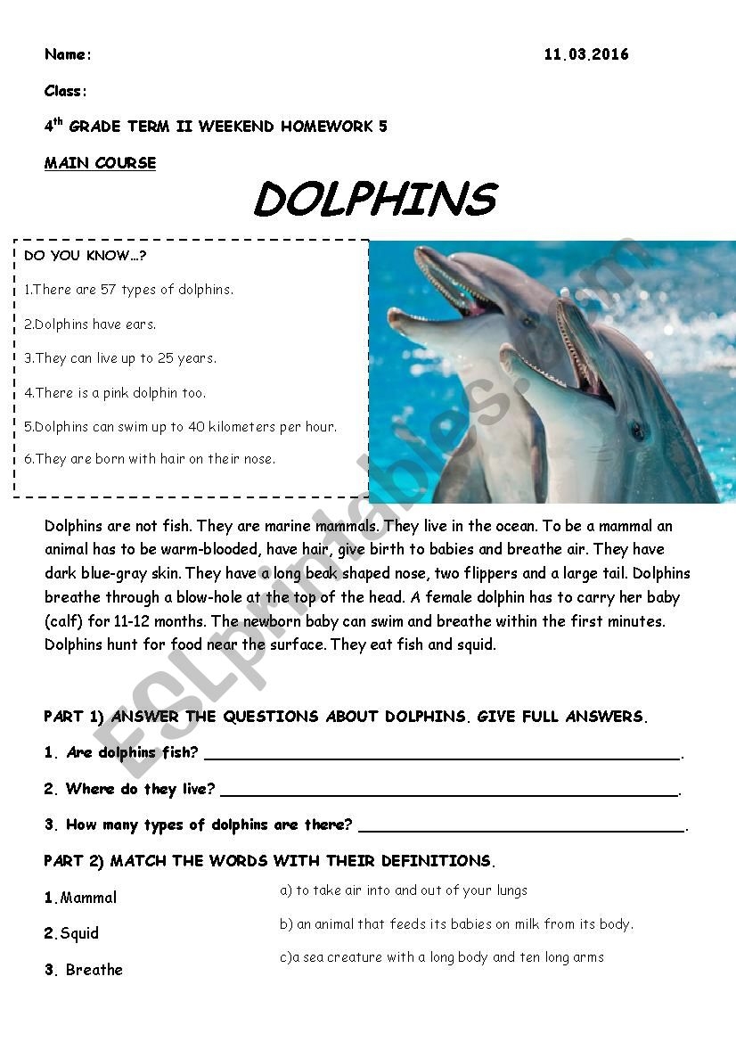 Reading Comprehension Worksheet Dolphins