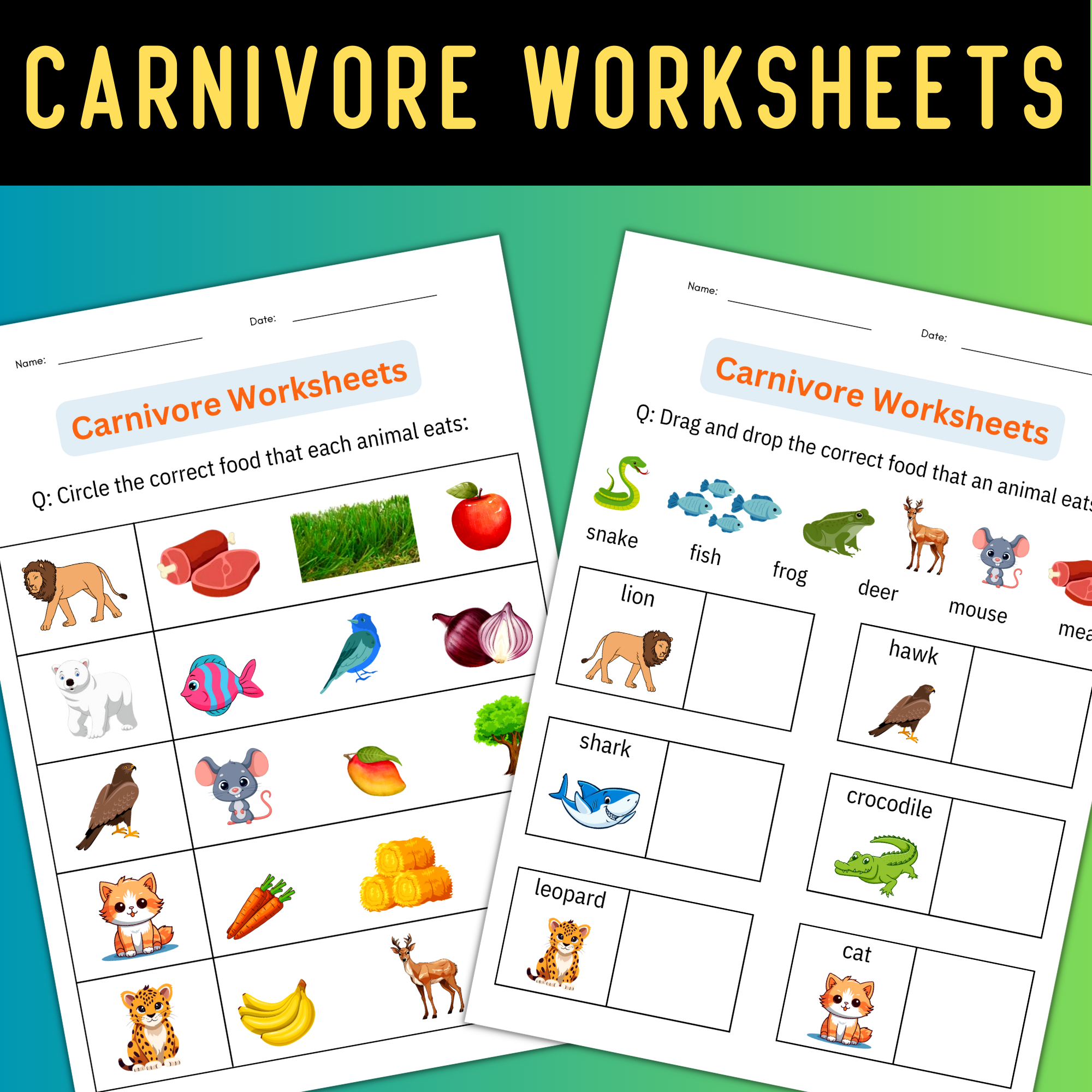 Printable Animal Classification Carnivore Worksheets Activities For Grade 1 2 Made By Teachers