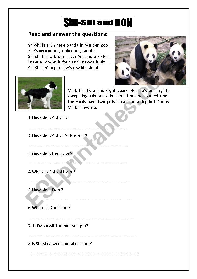 Reading Comprehension Worksheets On Pets