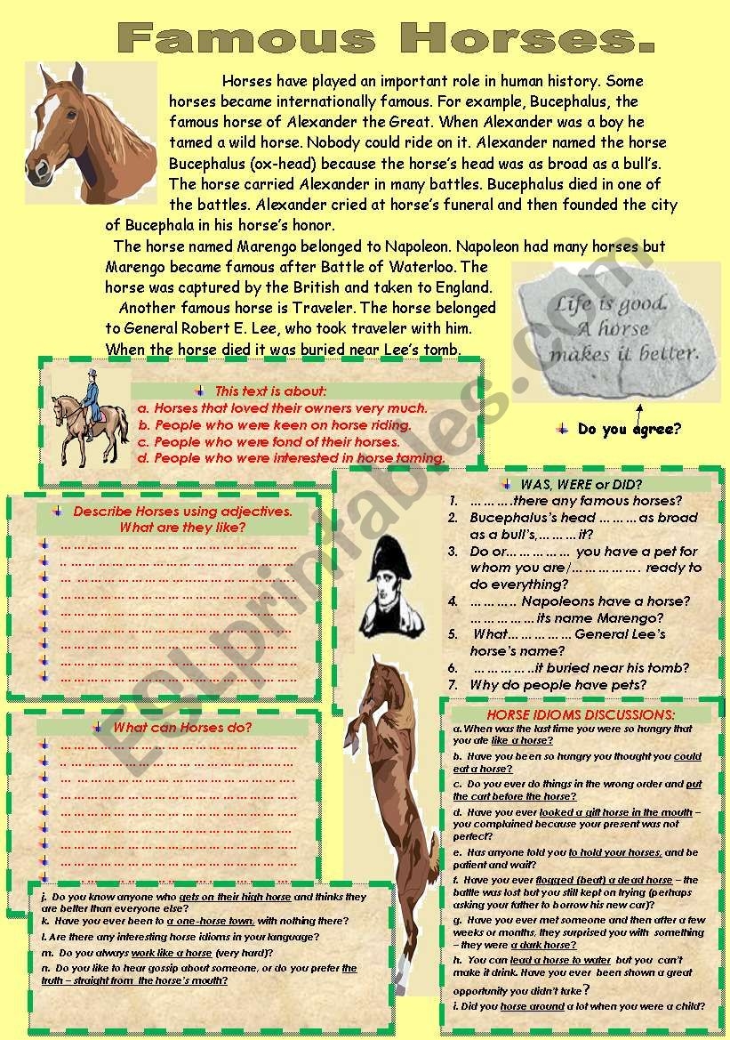 READING COMPREHENSION IDIOMS ABOUT HORSES ESL Worksheet By Nurikzhan