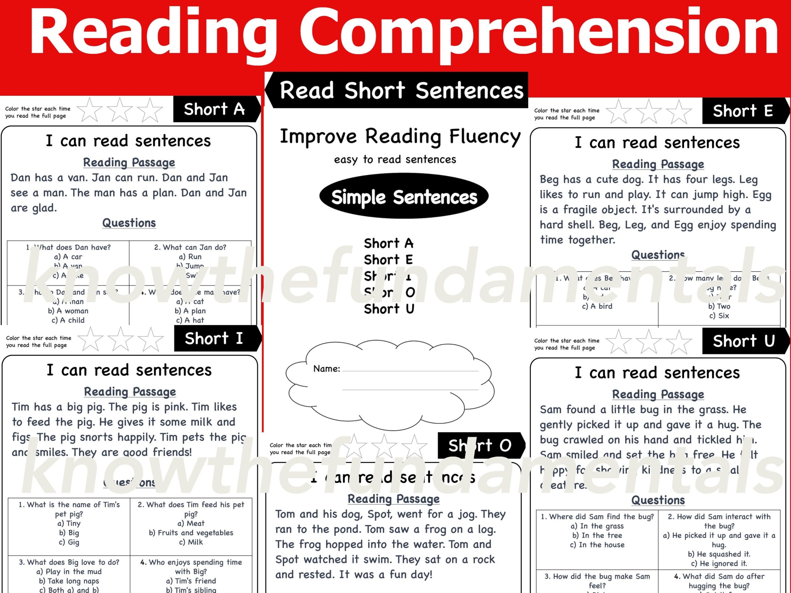 Reading Comprehension Simple Sentences Reading Practice 
