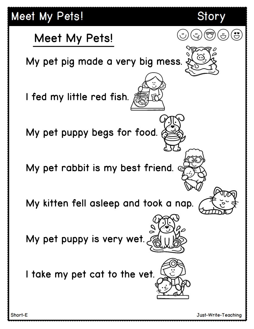 Reading Comprehension Story My Pets