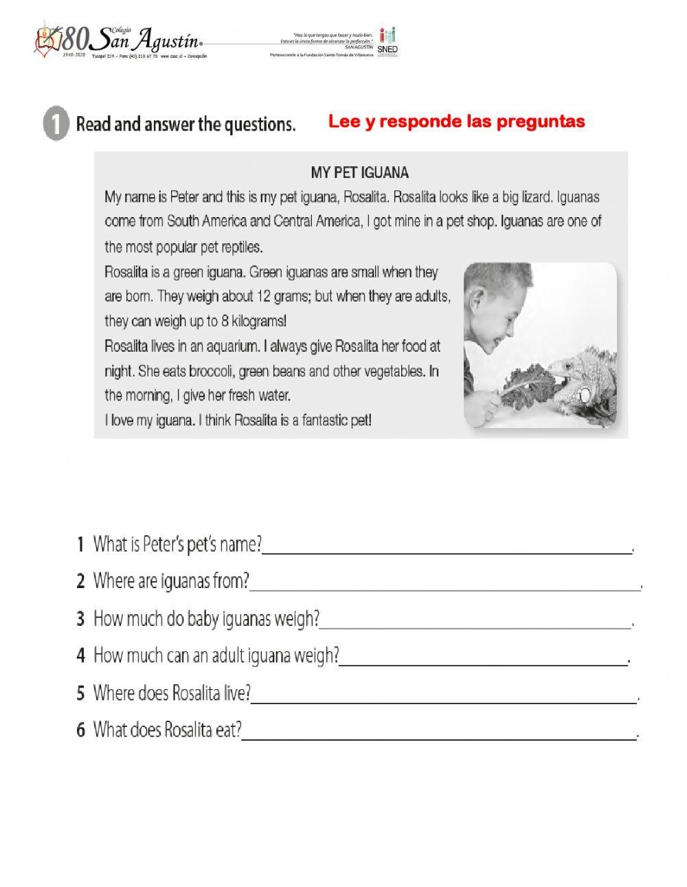 Reading Review Fifth Grade Worksheet Live Worksheets Worksheets Library