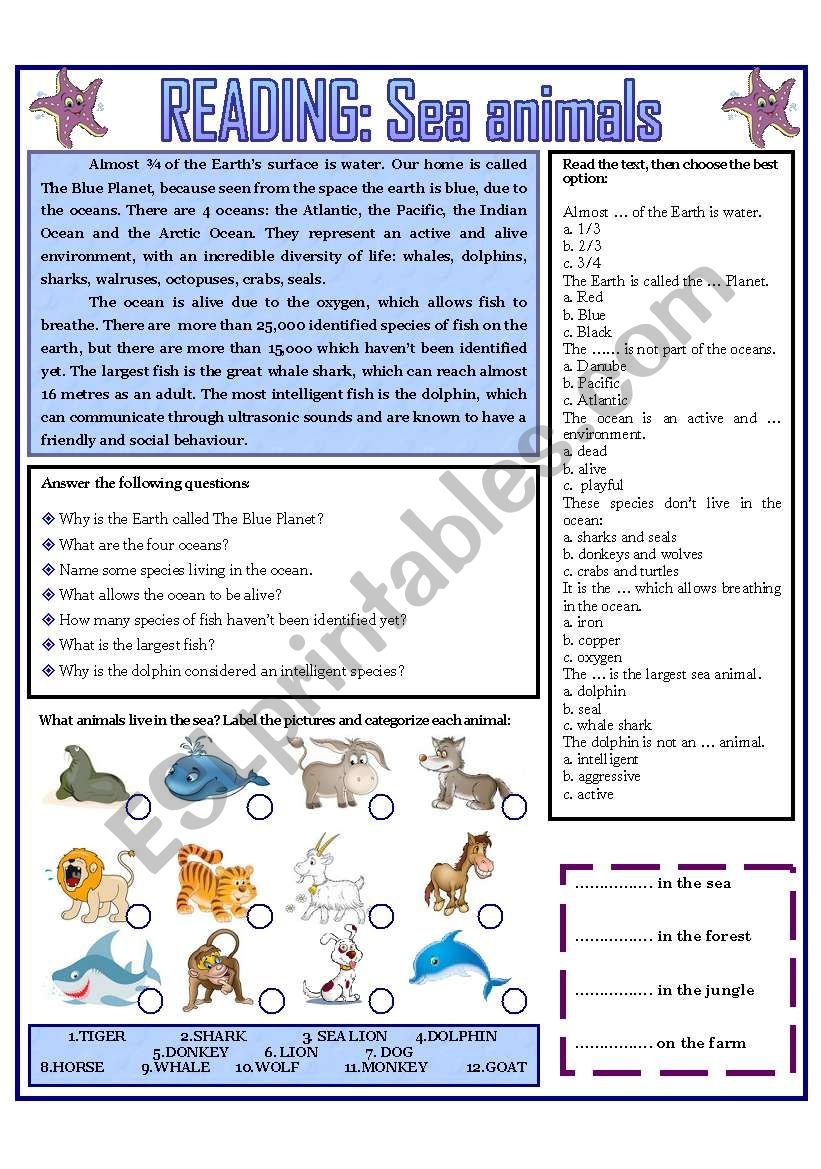 READING SEA ANIMALS ESL Worksheet By Domnitza