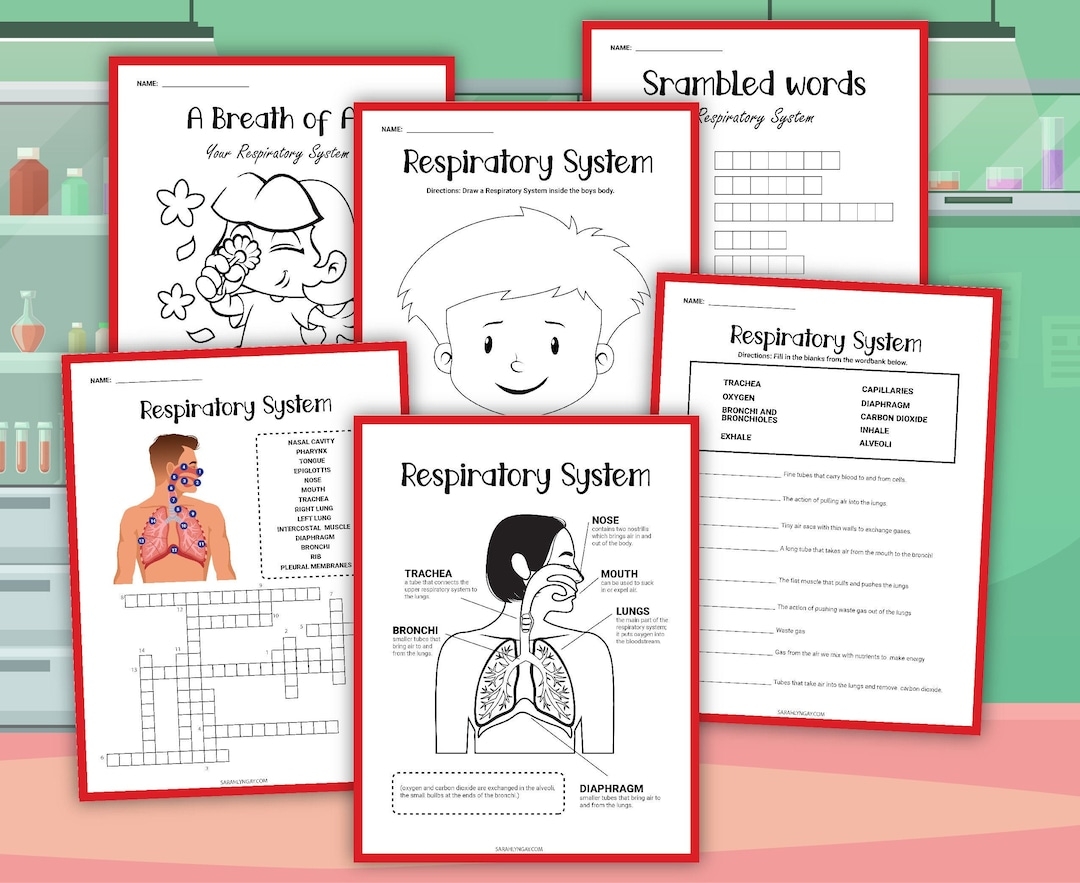 Respiratory System Respiratory Function Instant Download Kid s Worksheets Digital Download Etsy