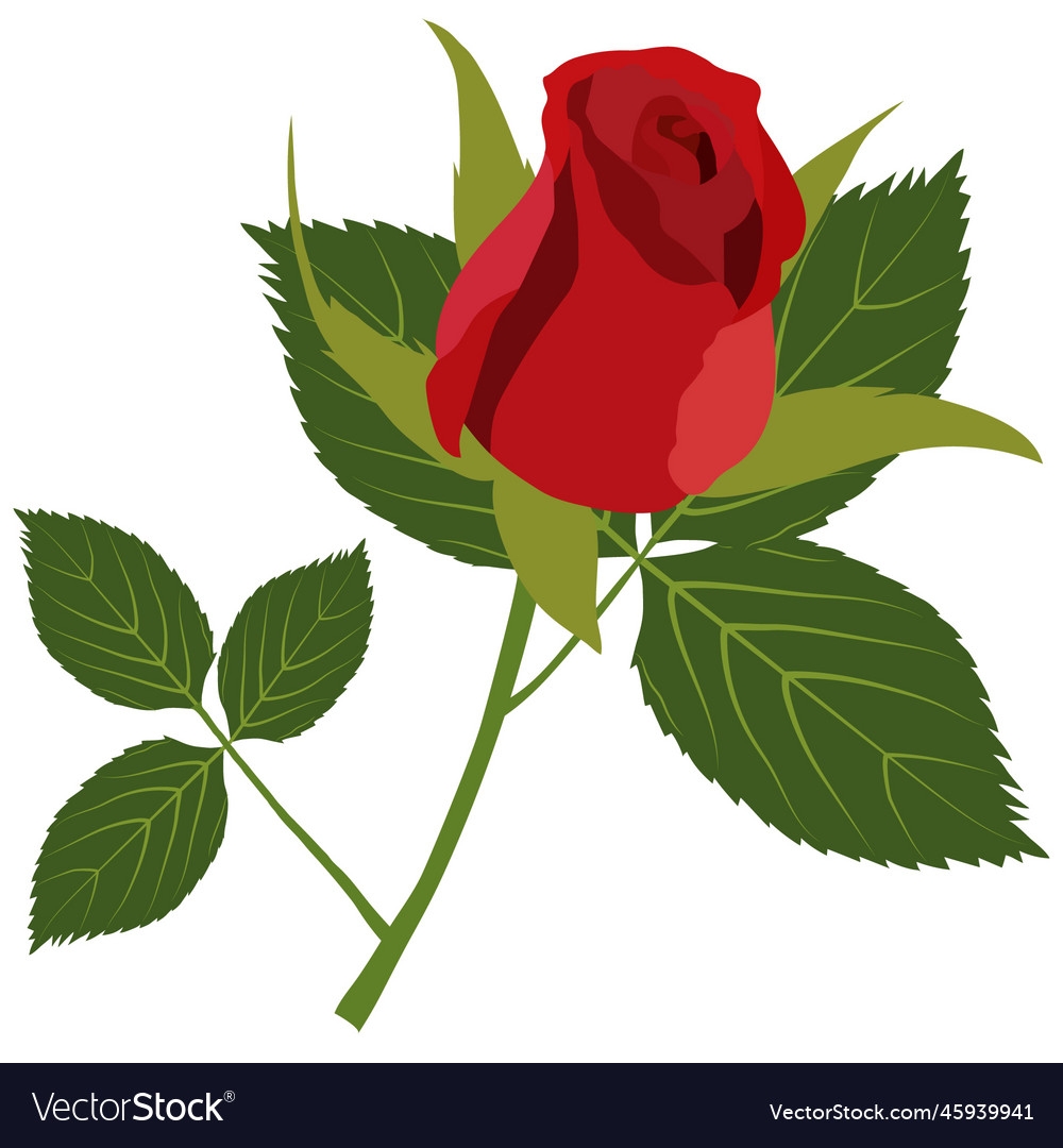 Rose Artwork And Printable Svg File Royalty Free Vector Worksheets Library