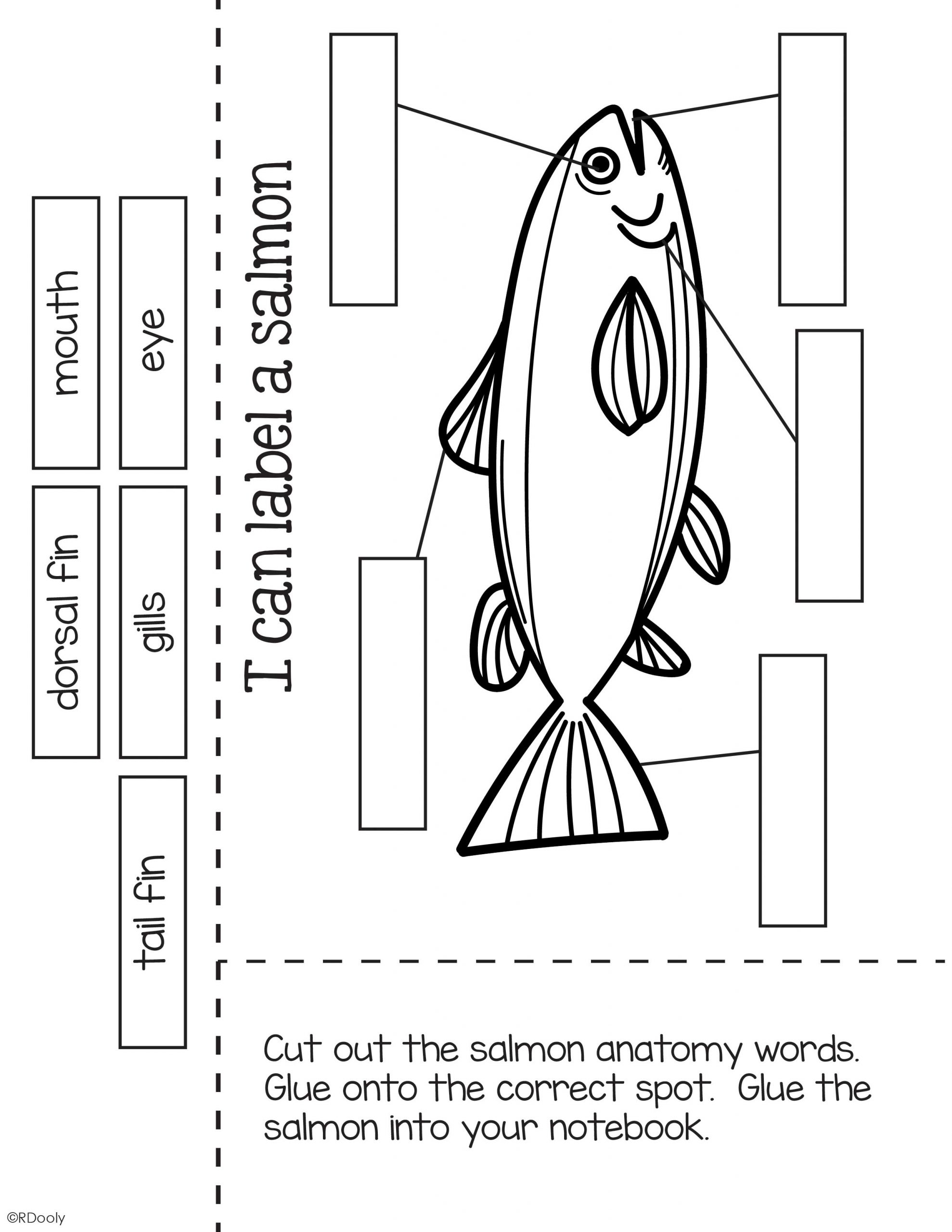 Salmon The Teacher Bag