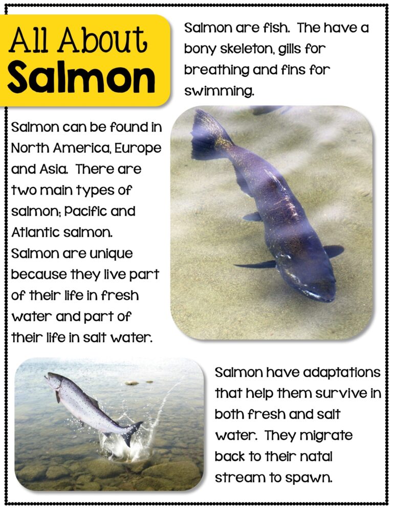 Salmon The Teacher Bag