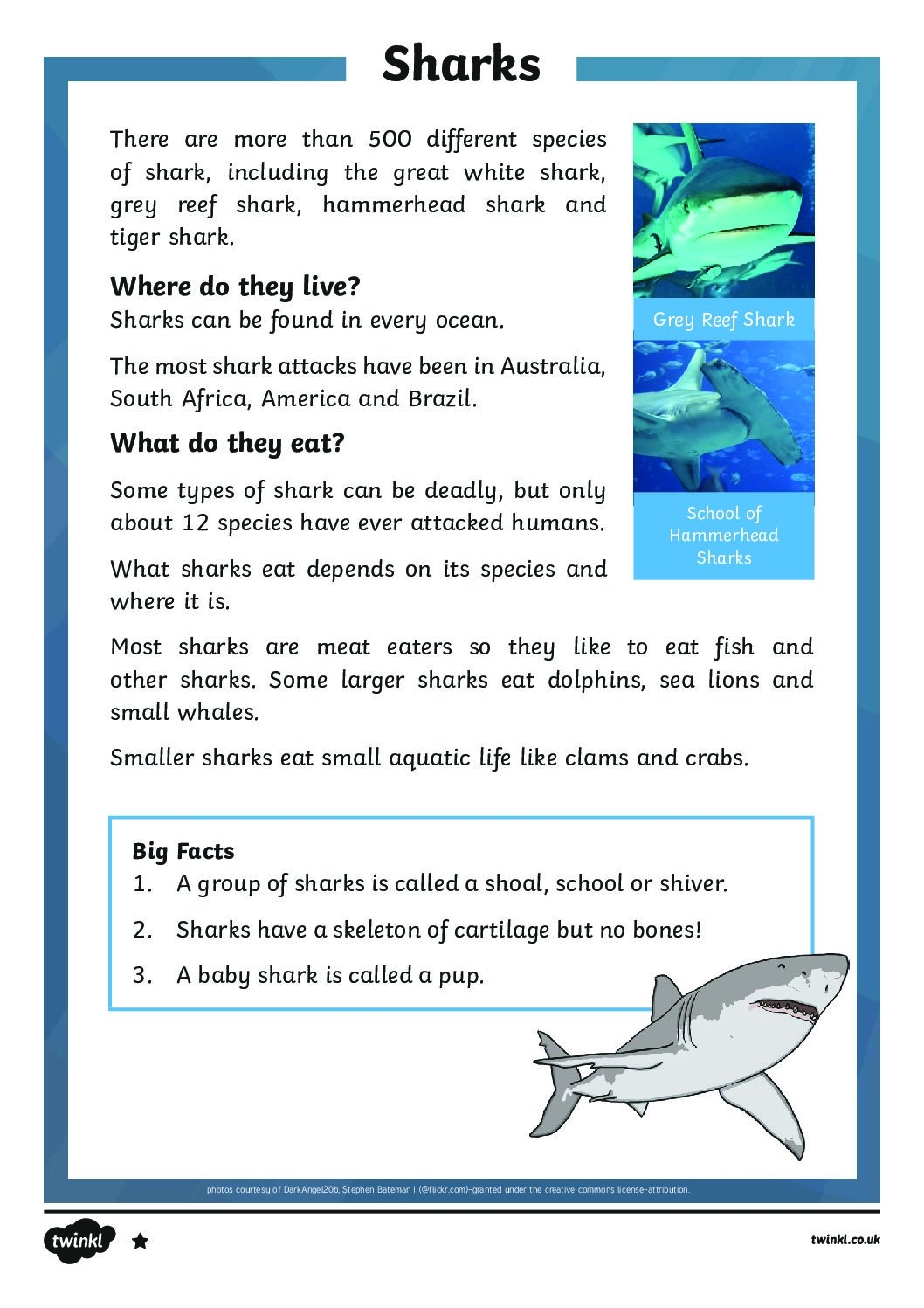 Simple Reading Comprehension Worksheets Uk
