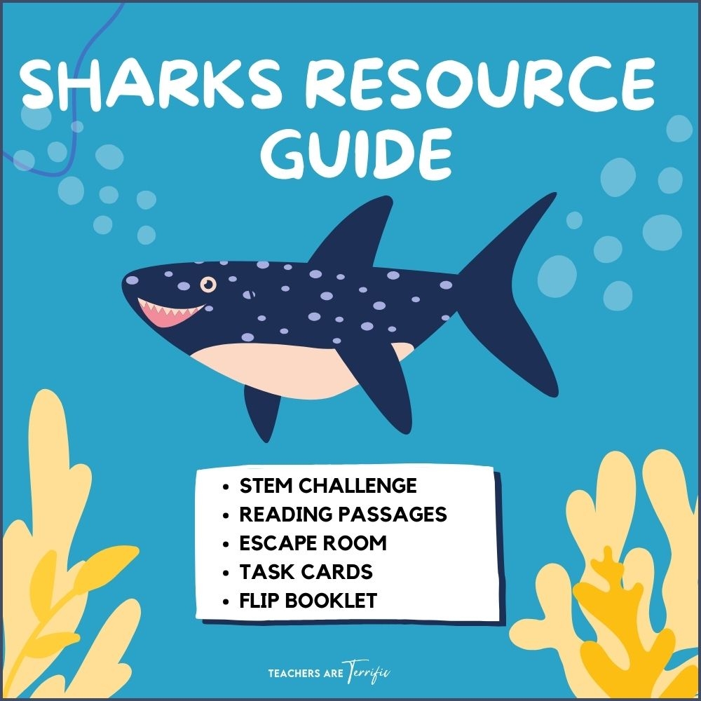 Shark Reading Comprehension Worksheet