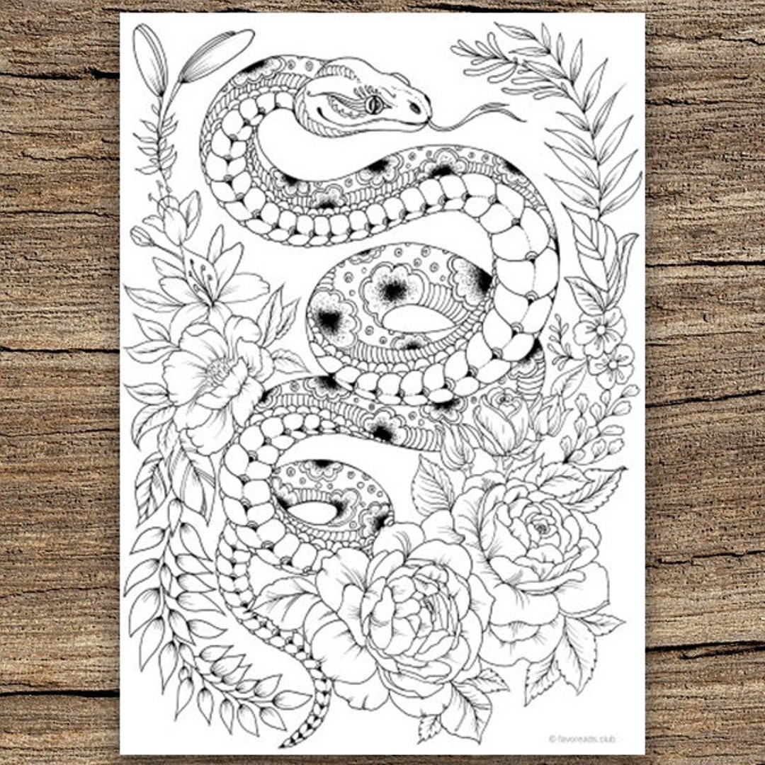 Snake Printable Adult Coloring Page From Favoreads coloring Book Pages For Adults And Kids Coloring Sheets Colouring Designs Etsy UK
