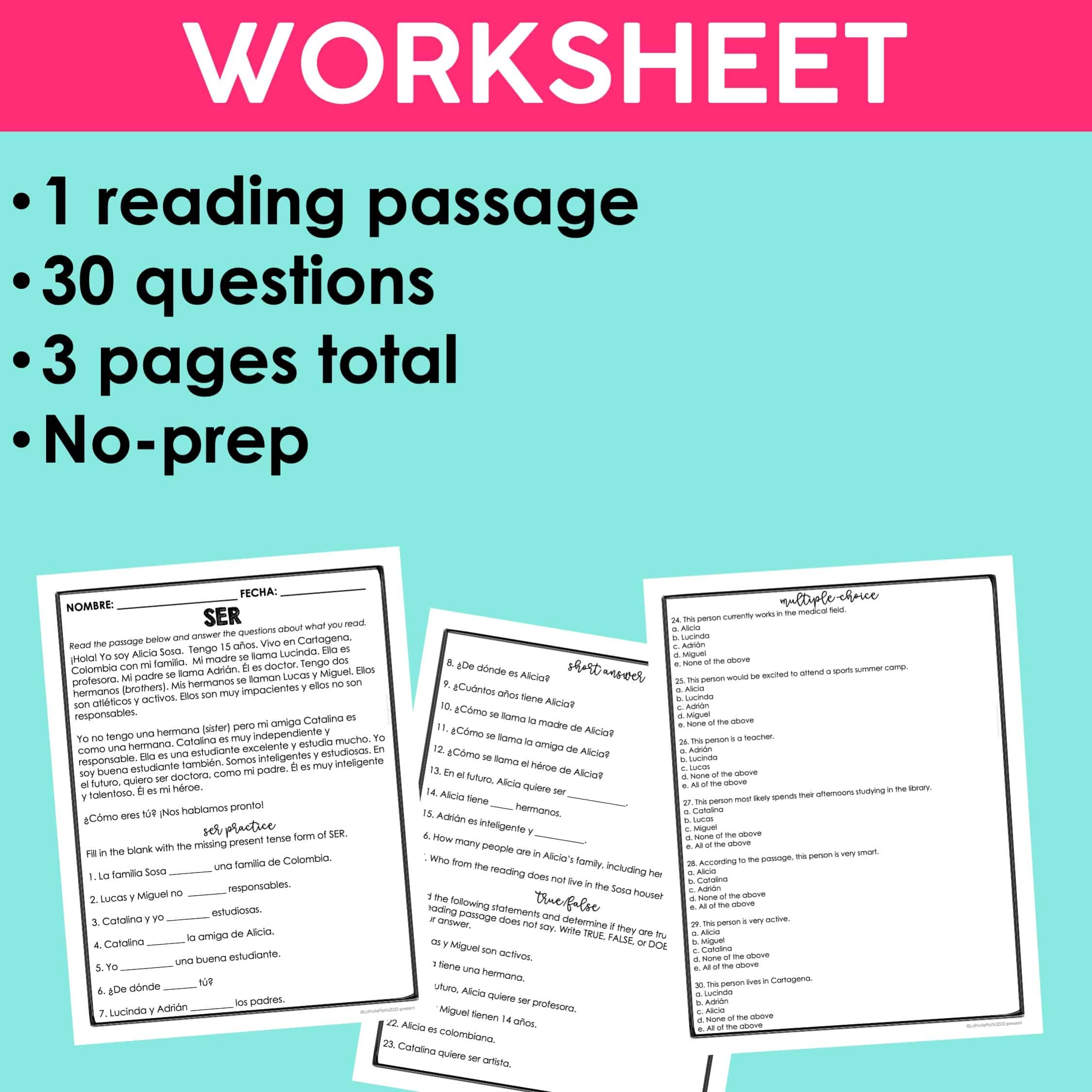 Spanish Reading Comprehension Practice Worksheets
