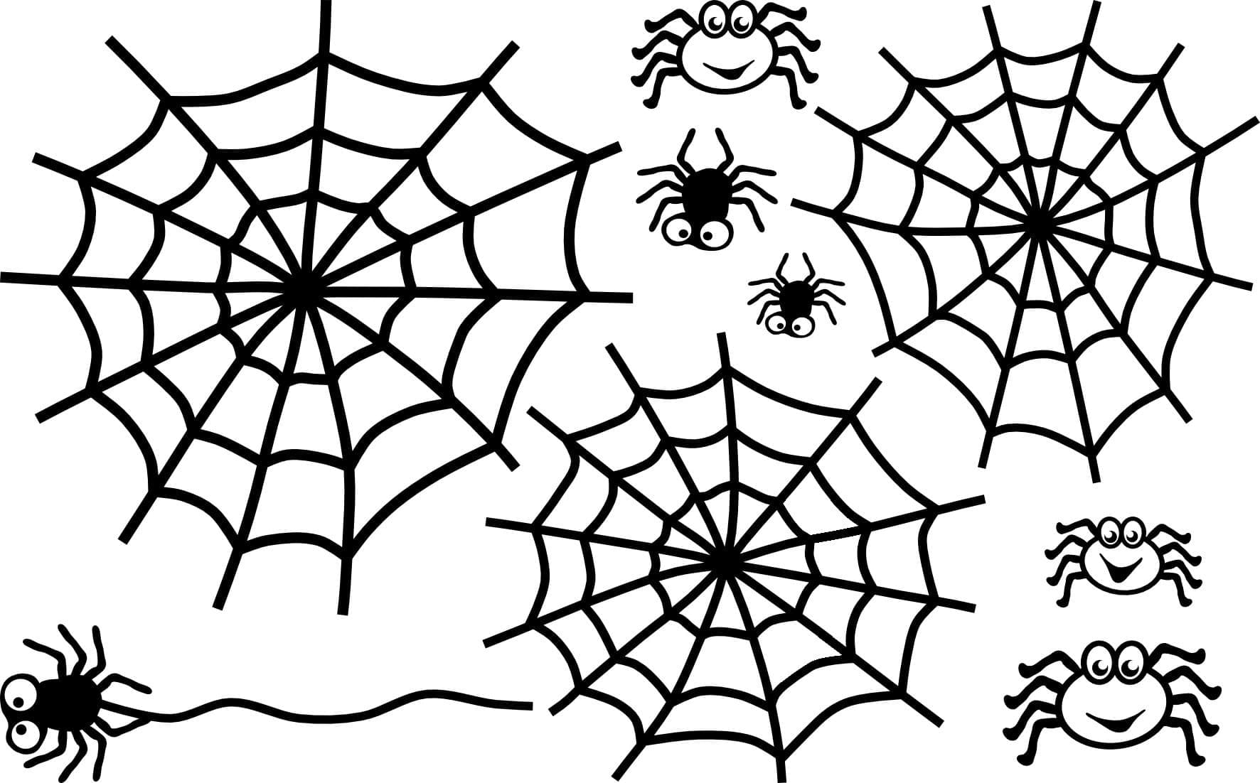Spider Web Free Printable Coloring Page Download Print Or Color Online For Free