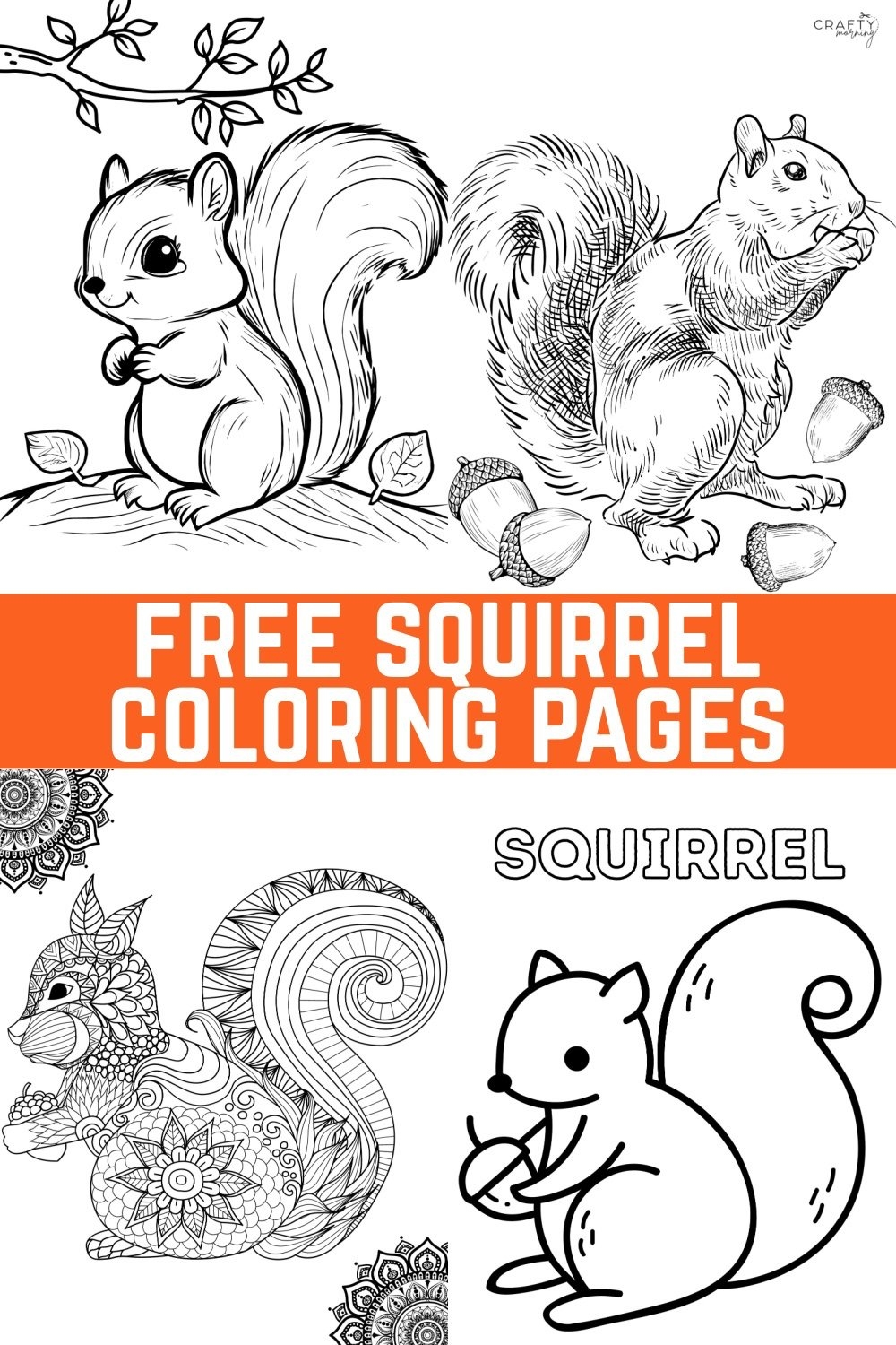 Squirrel Coloring Pages To Print Crafty Morning