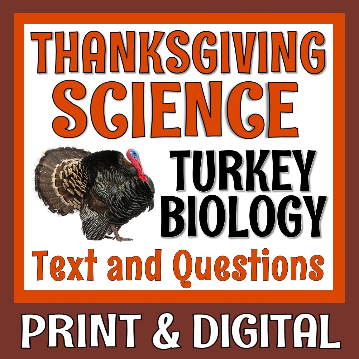 Science Of Thanksgiving Reading Comprehension Worksheets