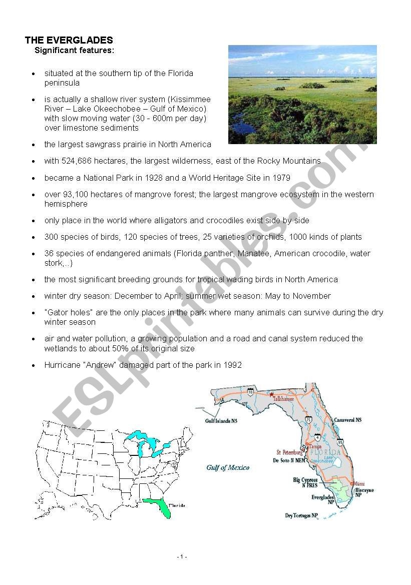 The Everglades ESL Worksheet By Tinilein
