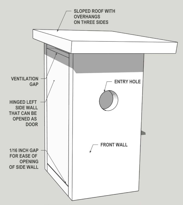 Three Designed Birdhouse Plans For Eastern Bluebirds Oklahoma 