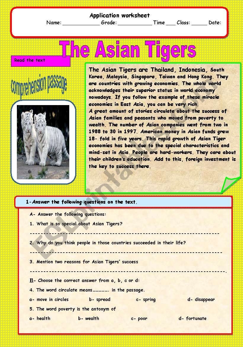 Tigers a Comprehension Passage ESL Worksheet By Adel A