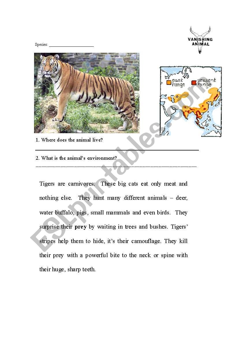 Tiger Reading Comprehension Worksheets