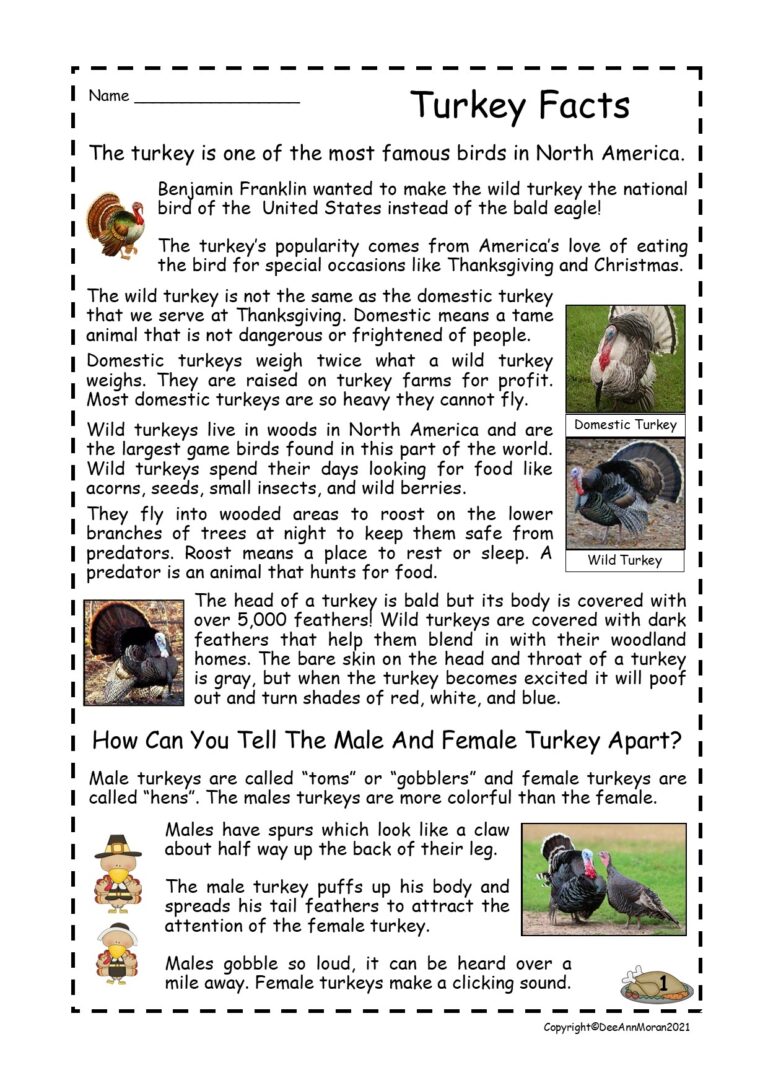 Turkey Facts Reading Comprehension Passages Made By Teachers