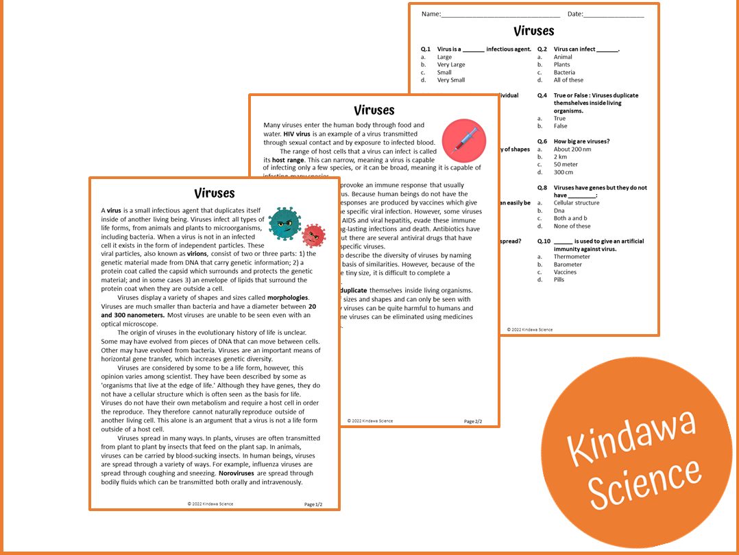 Viruses Reading Comprehension Passage And Questions PDF Teaching Resources