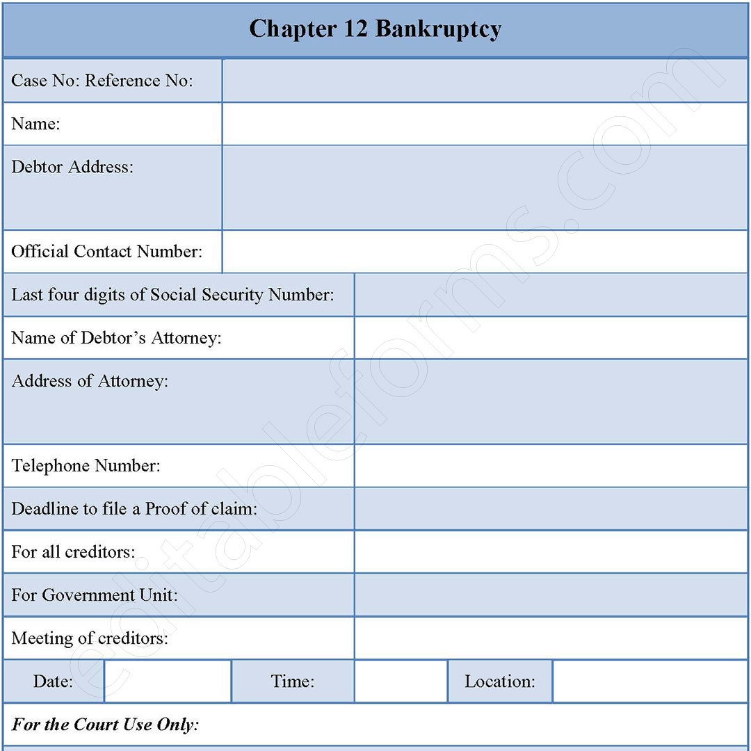 Chapter 12 Bankruptcy Fillable PDF Template Editable Forms s Ko fi Shop