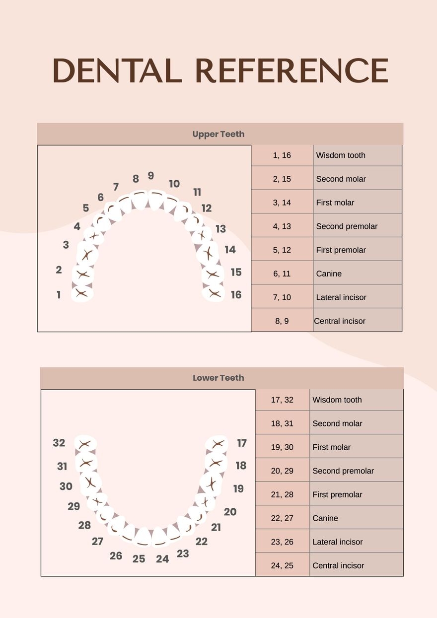 Dental Charting Forms Free Printable Blank Perio Chart