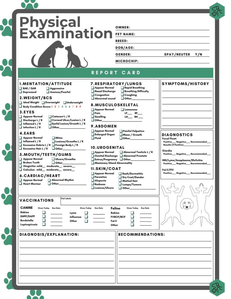 Physical Exam Form Veterinary Hospital Blank Fillable Exam Page Printable PDF Vet Med Clinic Examination Dog Cat Pet Report Card