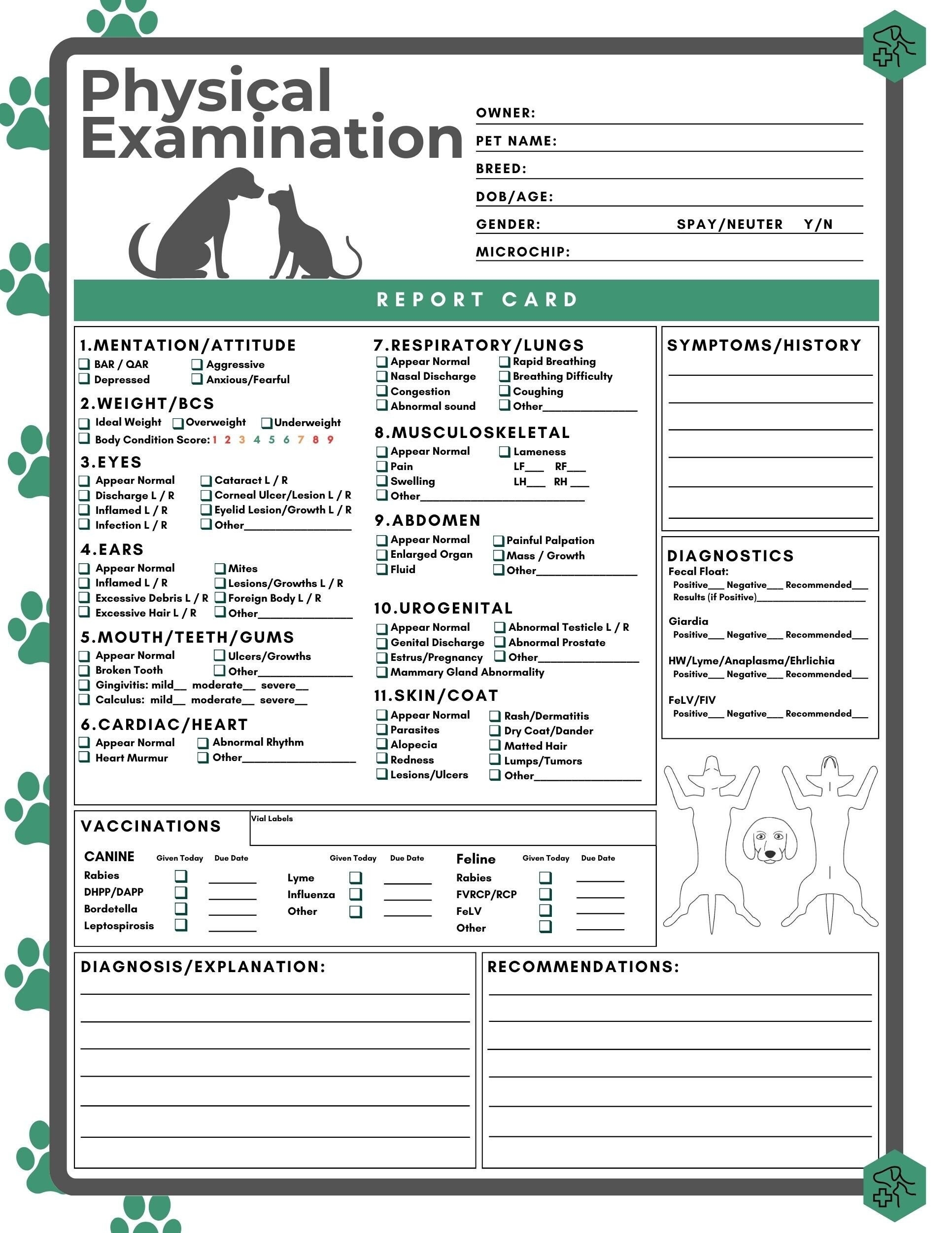 Physical Exam Form Veterinary Hospital Blank Fillable Exam Page Printable PDF Vet Med Clinic Examination Dog Cat Pet Report Card