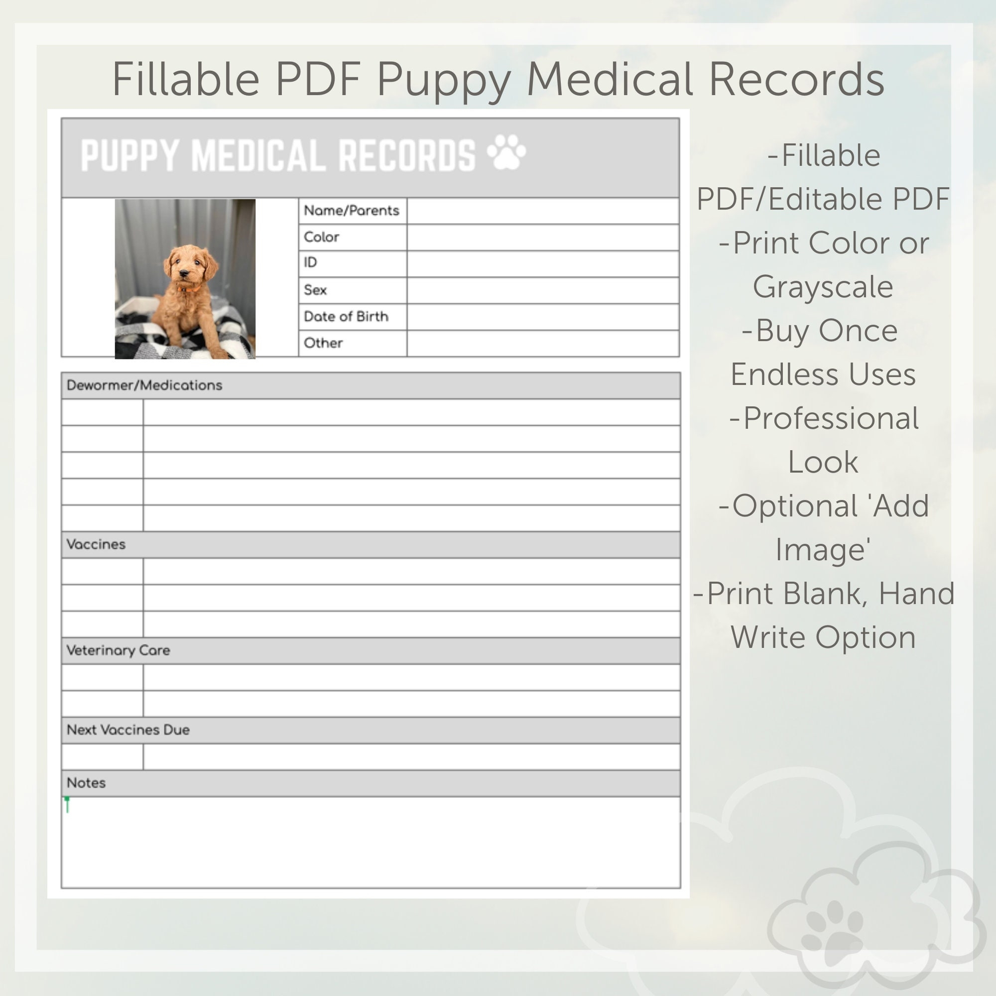 Puppy Medical Records Forms Fillable PDF Grey